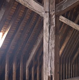 Carpenters Nave Roof Photographs Life Of A Cathedral