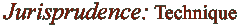 Jurisprudence:  Techniques