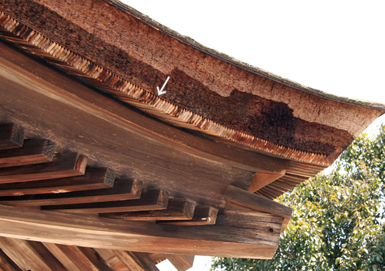 Takisanji Hondou 滝山寺本堂 (Aichi)