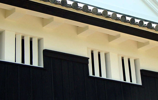 Bichuu Matsuyamajou 備中松山城 (Okayama)