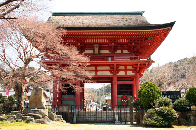 Takisanji Sanmon 滝山寺山門 (Aichi)