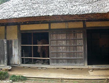 Old Kudou 工藤 house