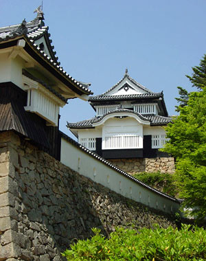 Bitchuu Matsuyamajou 備中松山城 (Okayama)