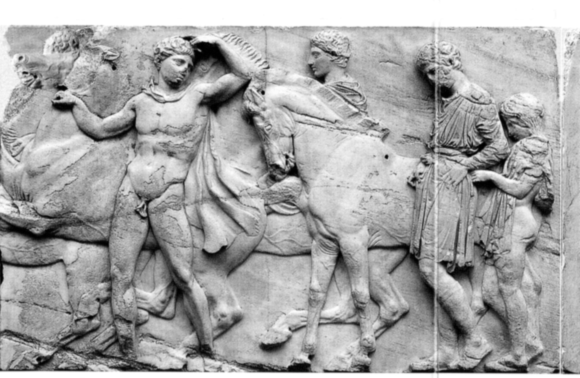 Pair of Horsemen on the Parthenon Marbles (Illustration